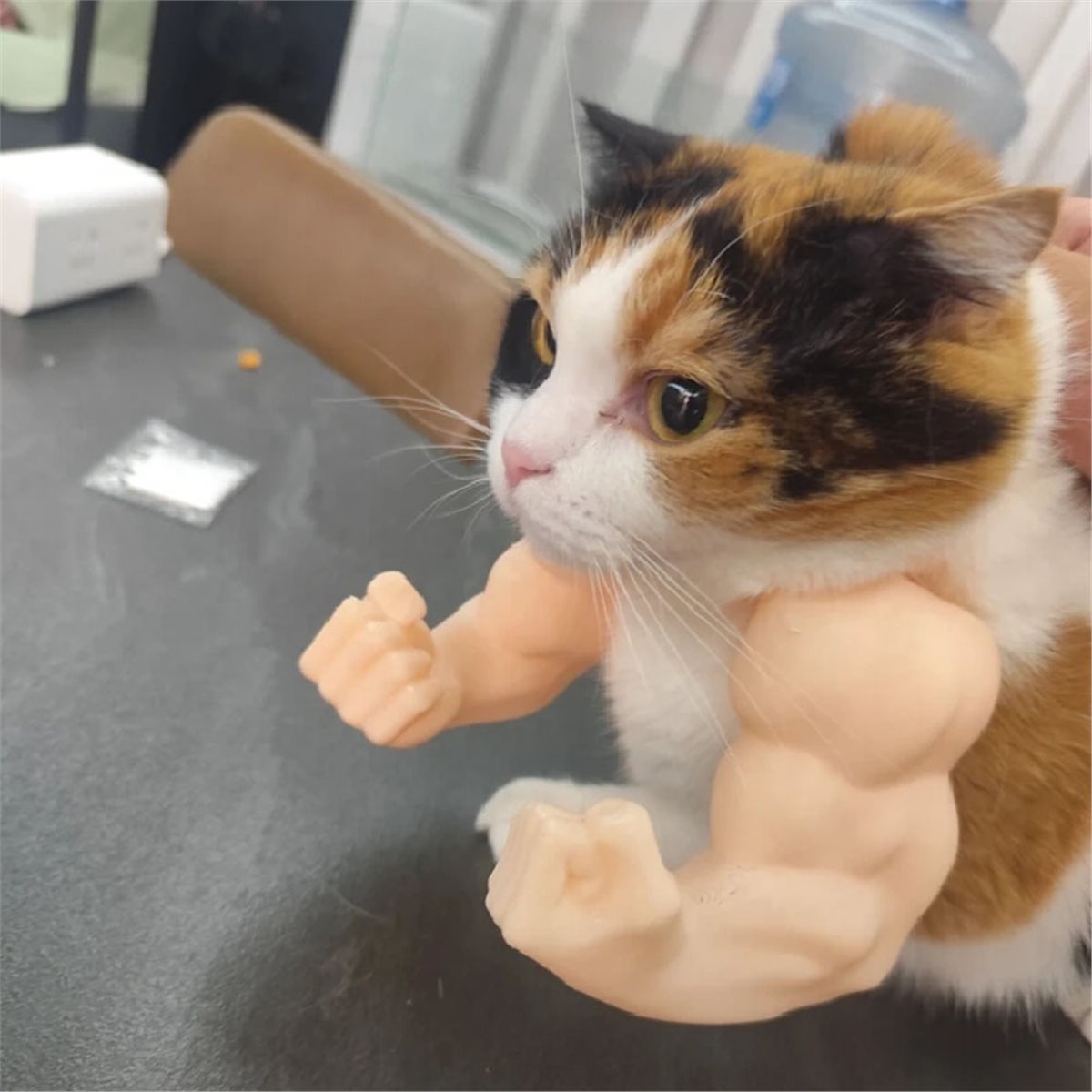 NEWCat Muscle Arm Pendant Pet  - Cat Toys 评论和价格